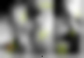 国产亚洲综合欧美视频,多元文化交融下的视觉盛宴